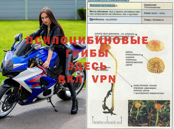 прущая мука Балахна