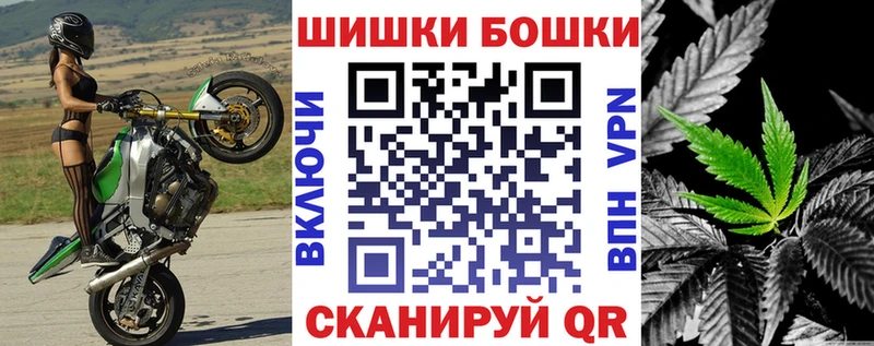 Канабис сатива  купить закладку  Хасавюрт 